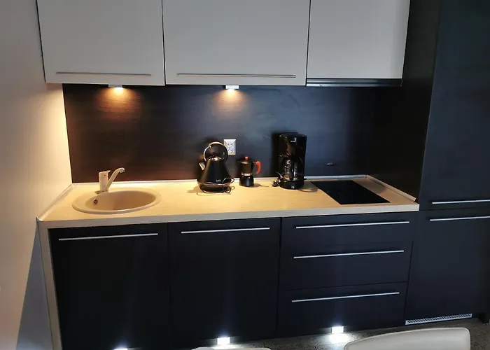 Apartamento Stella Baltic 39